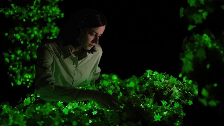 Les jardiniers à domicile peuvent désormais acheter des pétunias brillants auprès de plus de 200 détaillants en personne à travers les États-Unis – cela fait de l’éclairage de cour futuriste une réalité Woman sat amongst glowing petunias in the dark