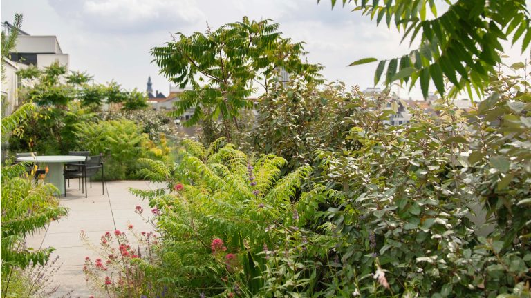 Le jardinage sauvage est la tendance hors concours pour 2025 – un concepteur de jardin urbain révèle l’astuce à faible entretien pour perfectionner le look Wild Harmony