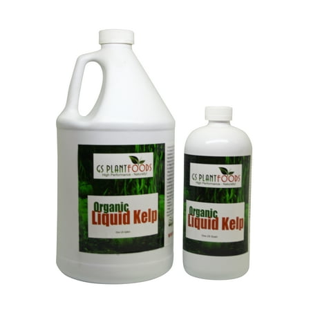 GS Plant Foods Engrais biologique de varech biologique - Liquide concentré pour les jardins, les pelouses et le sol donne plus de 800 gallons, bio, varech Omri, fertilisation efficace, récipient de 1 gallons