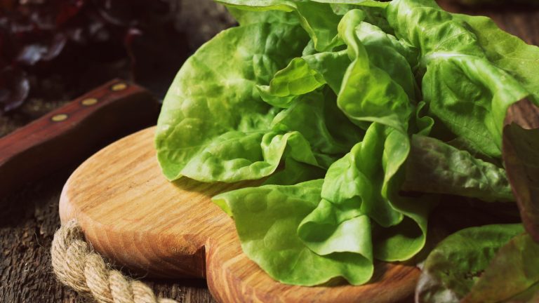 Harvested butter lettuce leaves on a wooden chopping board