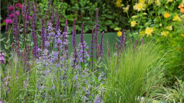 MS Amlin Peace of Mind Garden Chelsea Flower Show 2025