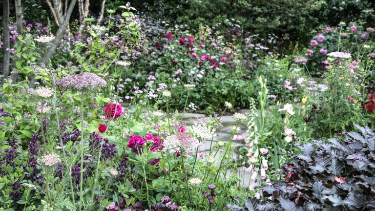 A colourful flower border full of red, pink, and purple blooms with a stone path