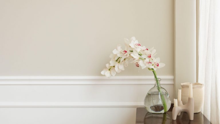 How to make your own orchid fertilizer
