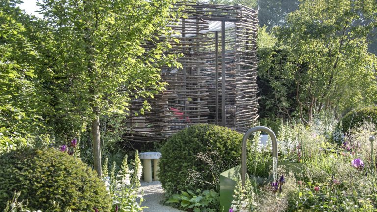 The Children With Cancer UK &lsquo;A Place To Be...&rsquo; show garden at the 2025 RHS Chelsea Flower Show, designed by Tom Clarke and Ros Coutts-Harwood, with evergreen shrubs and dense perennial planting