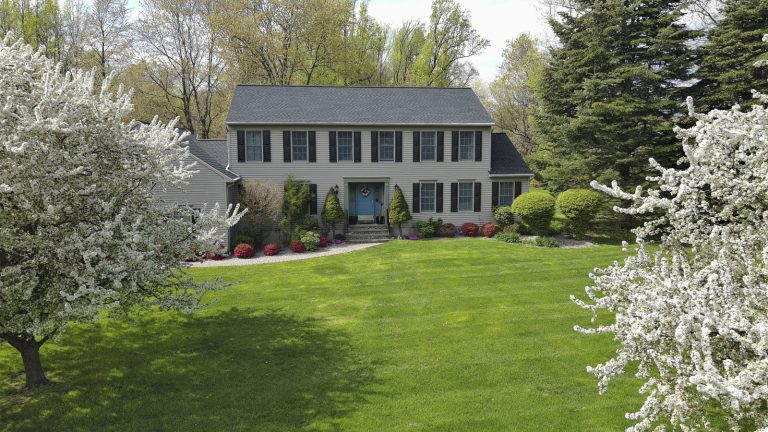 Using dish soap to kill moss on your lawn