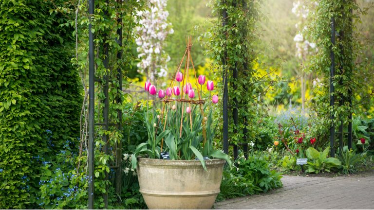 Things you should never use to fill the bottom of a large planter