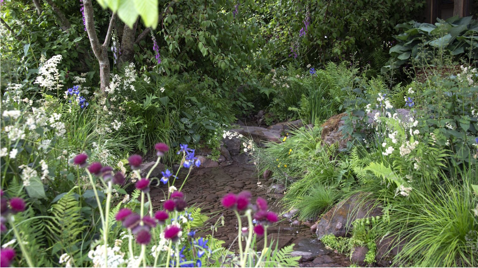 Les jardiniers ont averti de ne jamais toucher ces 5 mauvaises herbes toxiques à mains nues – voici comment s’en débarrasser en toute sécurité What having bats in the yard means