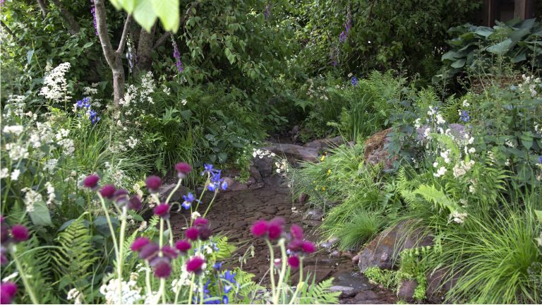 Les jardiniers ont averti de ne jamais toucher ces 5 mauvaises herbes toxiques à mains nues – voici comment s’en débarrasser en toute sécurité What having bats in the yard means