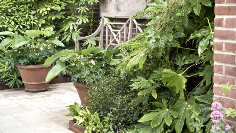 J’ai traité avec des arbustes invasifs et laids en tant que jardinier professionnel – ce sont les 5 arbustes que je ne grandirai plus jamais, et ce que je choisirais à la place A wooden bench surrounded by green foliage of fatsia, hostas, and more