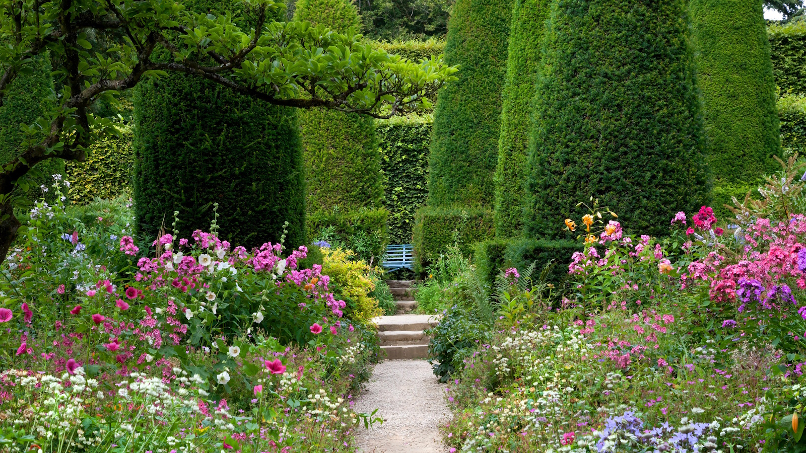 Jardin anglais en été