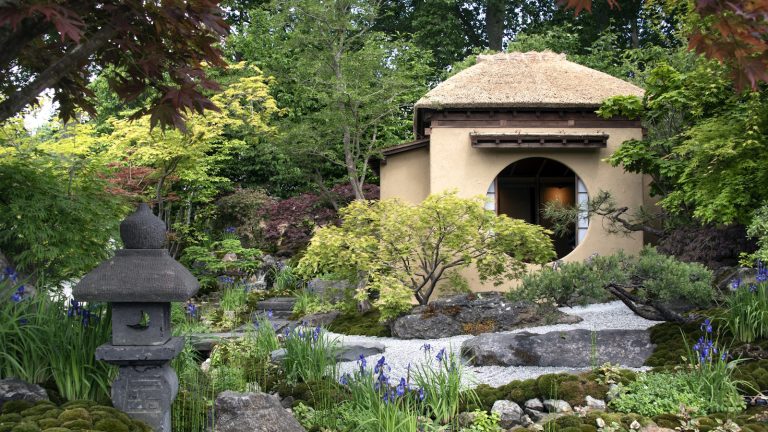 Je suis un jardinier professionnel, et cet ingrédient naturel est essentiel pour aider les érables japonais à prospérer en été – et vous donnera également une couleur d’automne dynamique Japanese maple trees in shade of red and green, growing on the Japanese Tea Garden, designed by Kazuyuki Ishihara, seen at the RHS Chelsea Flower Show 2025
