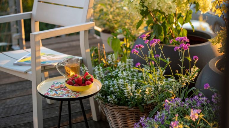 Comment faire de la verbale de mort – pour une floraison implacable de cette fleur gracieuse tout l’été A seat in a back yard with pots filled with verbena