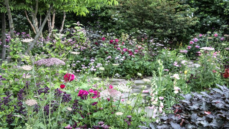 Comment hériter d’un jardin – une vision professionnelle de savoir quoi garder, quoi déterrer et pourquoi vous ne devriez rien faire pour la première année A garden with a pathway and perennial and annual plants in the foreground and trees and hedging behind.