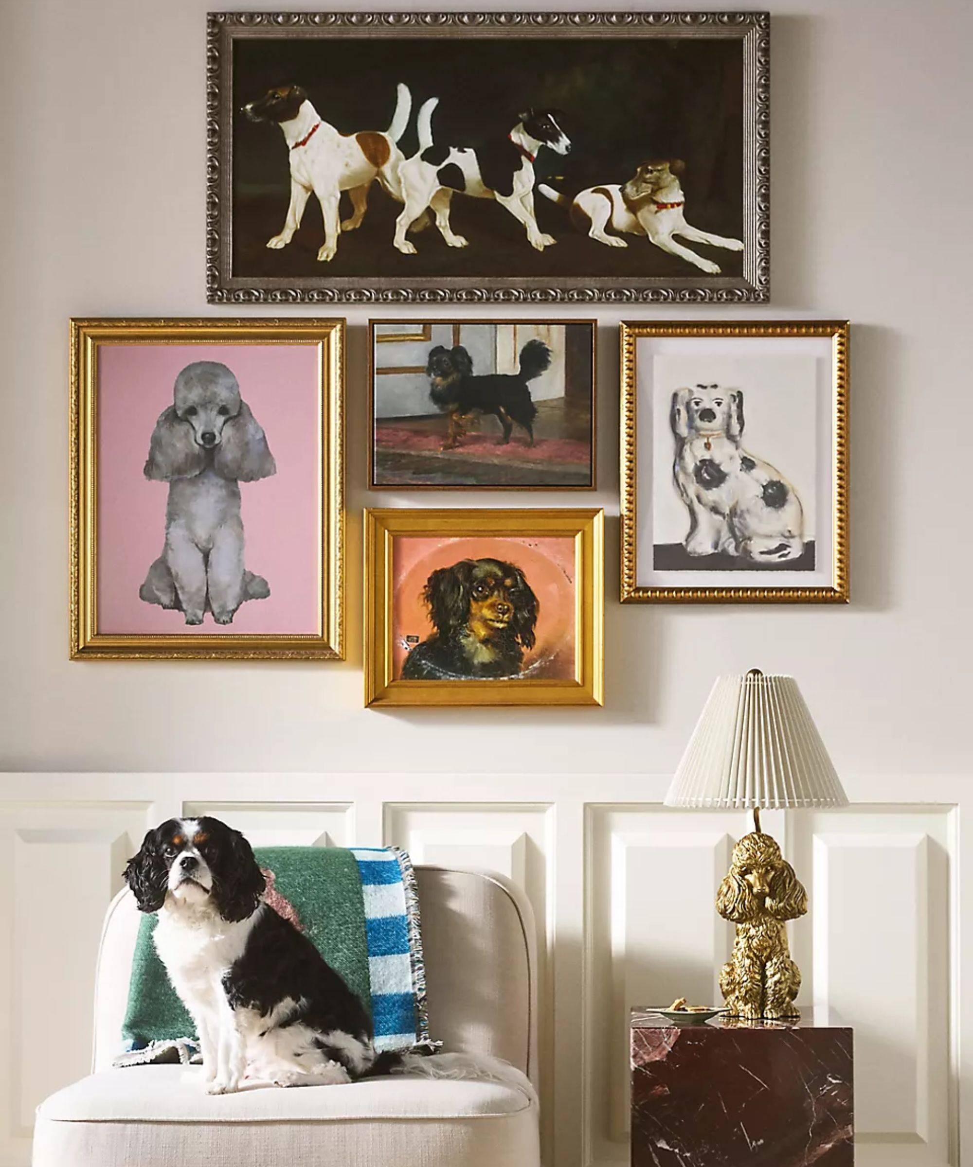 Galerie Mur d'art de chien de style vintage sur un mur avec des boiseries et une petite chaise avec un Spaniel de King Charles Cavalier Tri-Colored s'assis dessus