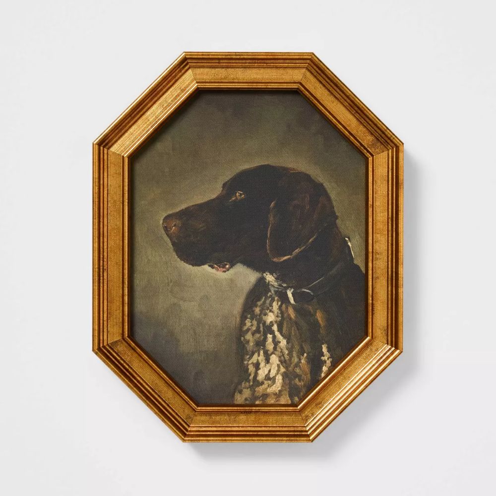 Pointer chien portrait art encadré