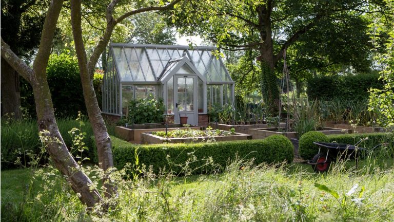 Ne faites pas ces 5 erreurs de serre communes – des moyens d’experts pour éviter les erreurs endommagées, pour une cour florissante et belle Use bubble wrap to insulate a greenhouse