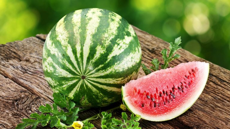 Comment cultiver des pastèques verticalement dans de petits espaces de jardin – 4 étapes clés pour bien faire pour des fruits fantastiques A whole watermelon and a slice of watermelon on a wooden bench