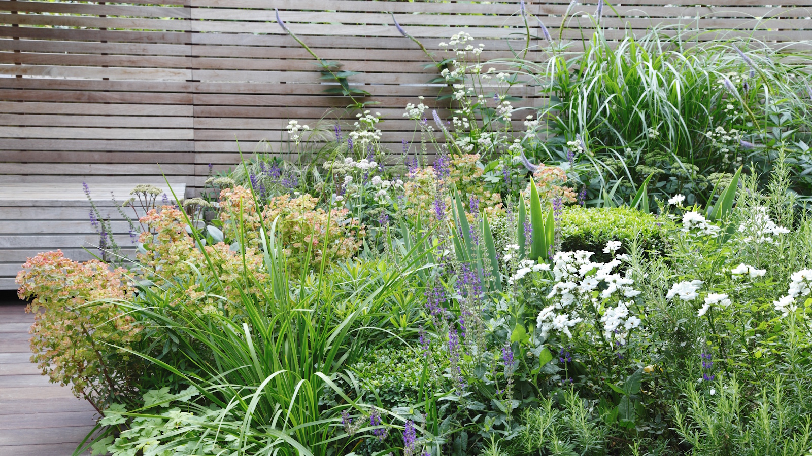 Borde de jardin dense et colorée pendant l'été, avec une euphorbia jaune-orange, des pointes de fleurs violettes et des herbes vertes 