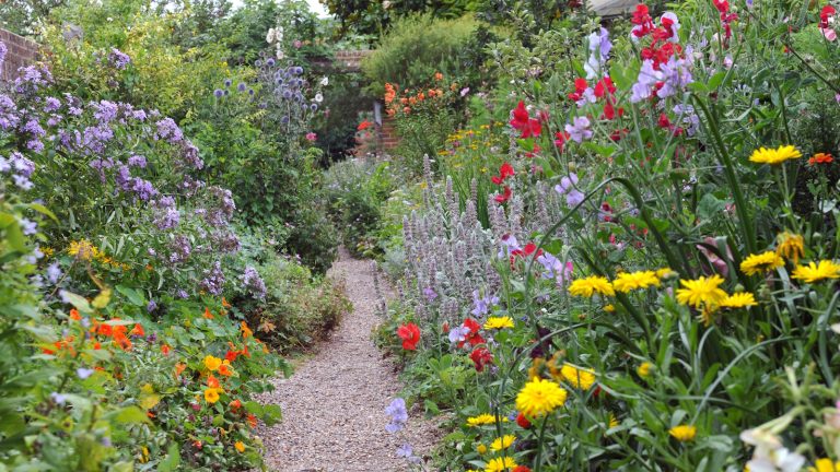Le hack de Hampton définira votre cour en feu avec un deuxième vent de fleurs – voici exactement comment le faire pour faire fleurir vos plantes vivaces deux fois Colorful borders in an old-fashioned cottage garden