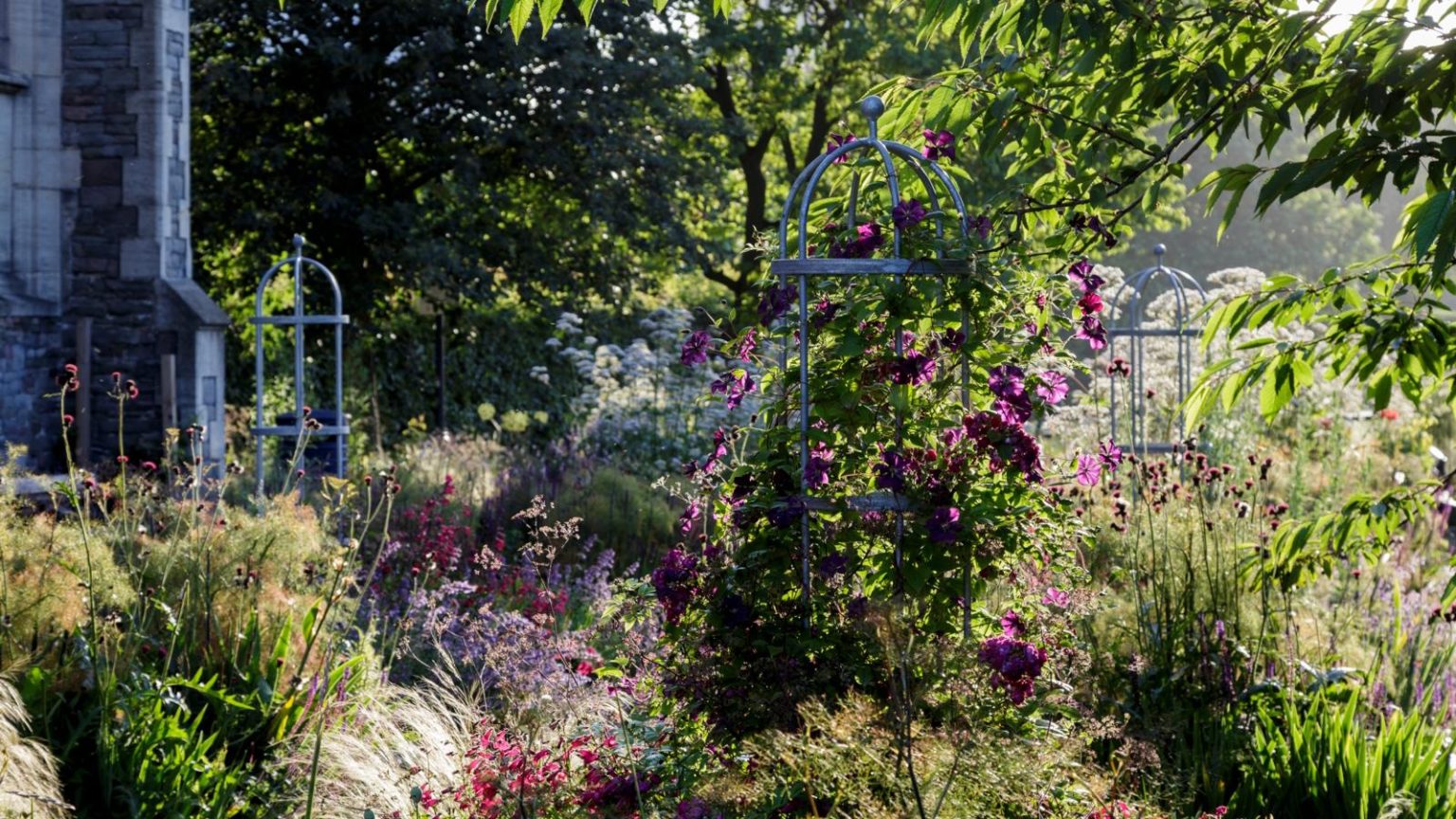 Ces 5 plantes de jardin populaires sont (étonnamment) invasives – un jardinier professionnel émet un avertissement frappant et révèle ce que vous devriez cultiver à la place How to use olive oil in the garden