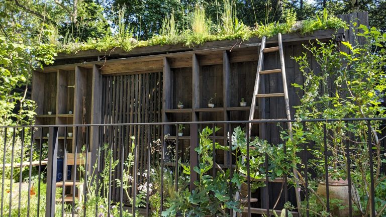 Tomie&rsquo;s Cuisine the Nobonsai balcony garden at the RHS Chelsea Flower Show 2024