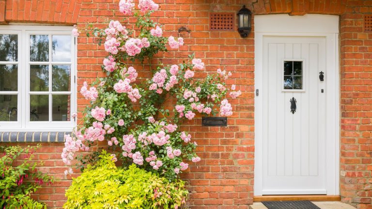 Ce sont les meilleures couleurs de porte d’entrée pour une maison en briques rouges, selon des designers et des experts en peinture A red brick house with a white front door and a pink climbing rose rambling over the exterior wall