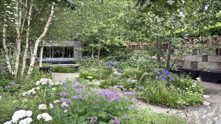 7 choses à ne pas faire dans le jardin en août – pour vous faire économiser de l’argent et regretter A professionally designed garden with trees and blue and white flowering plants and stone pathways