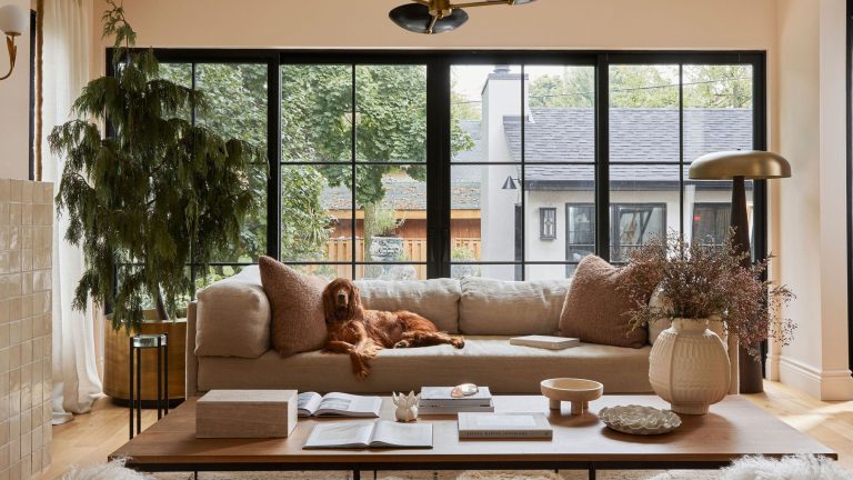 «Dans cette maison, nous ne craignons pas la joie. Nous faisons de la place pour ça ‘- comment un designer a transformé son minuscule chalet des années 1920 dans sa maison familiale de rêve A neutral living room with large black metal windows taking up one wall. There is a large beige sofa with a dog sitting on it and a tree to the left hand side. In front is a large wooden coffee table