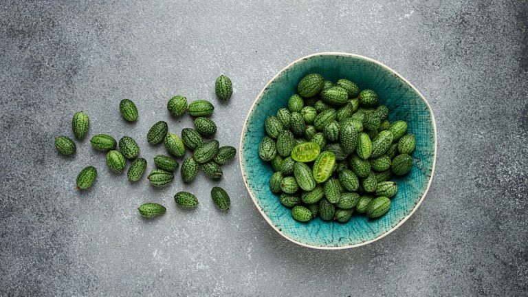 Ce recadrage super mignon, sur les légumes tendance va figurer sur la liste de croissance de tout le monde pour 2026 – voici comment cultiver les Cucamelons Cucamelons in a bowl and strewn over a grey marbled table top