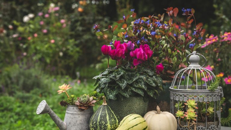 Votre jardin n’a pas à s’estomper à la fin de l’été – des ampoules de fleurs d’automne car sont le secret pour prolonger la saison Autumn garden
