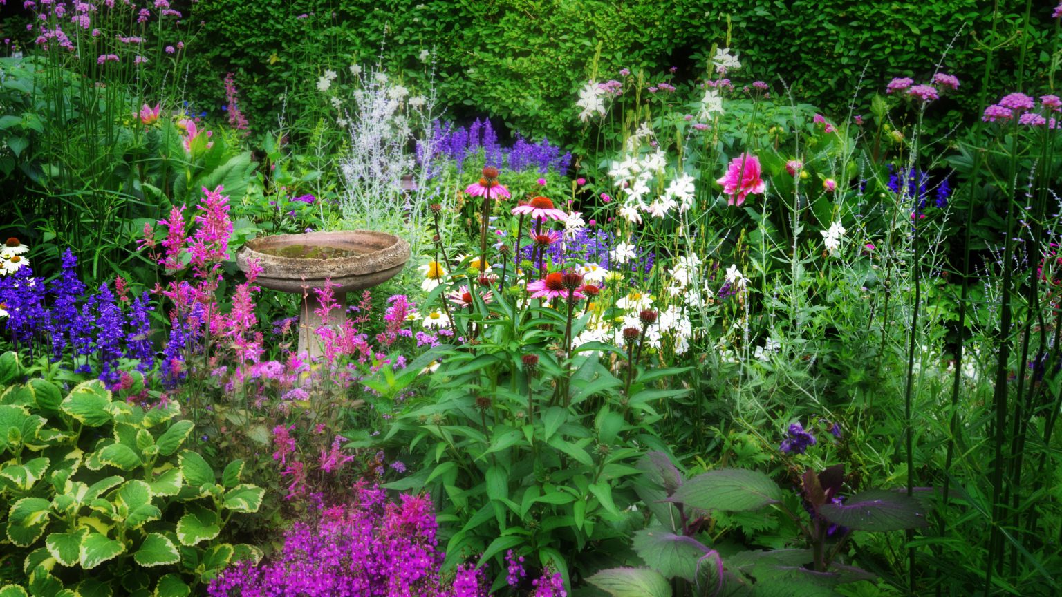 7 fleurs à planter autour d’un bain d’oiseaux – pour le plus beau coin rempli d’oiseaux du jardin A lovely scene of a cottage garden in East Hampton with flowers blooming against greenery and an old bird bath.