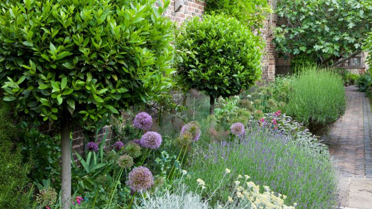 5 insectes bénéfiques qui travaillent dur pour s’occuper de vos plantes de jardin sans que vous vous en rendiez compte – comment les protéger et les encourager dans votre cour Beneficial insects