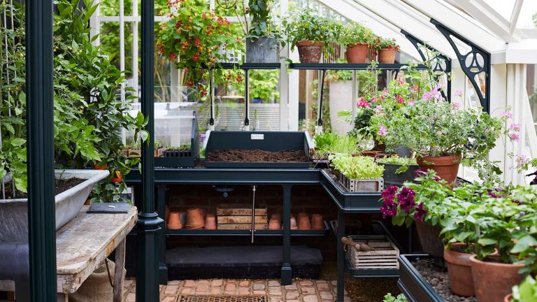 Comment suivre une serre – les experts partagent des conseils et des astuces intelligentes pour tirer le meilleur parti de votre espace de croissance Alitex greenhouse interior with black benching and potted plants
