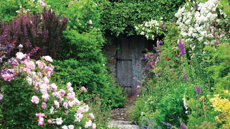 5 travaux de jardinage faciles à faire avant l’arrivée de septembre – ne le laissez pas trop tard pour cocher ces tâches rapides mais importantes Gardening jobs to do before September