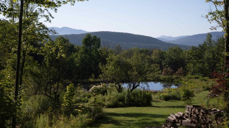 Un jardin au bord de tout – comment Alan Calpe et Christopher Crawford ont grandi un sanctuaire de la montagne Catskills où le désert et la culture coexistent joyeusement Catskills garden with mountains beyond, including a pond garden surrounded by green shrubs and trees