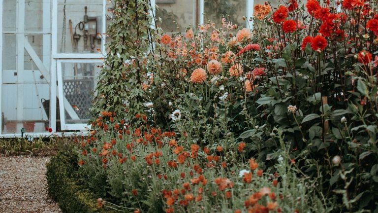 10 meilleures fleurs orange qui transformeront n’importe quel jardin – si vous vous méfiez des plantes orange, ces recommandations d’experts changeront d’avis Flower bed with orange flowers