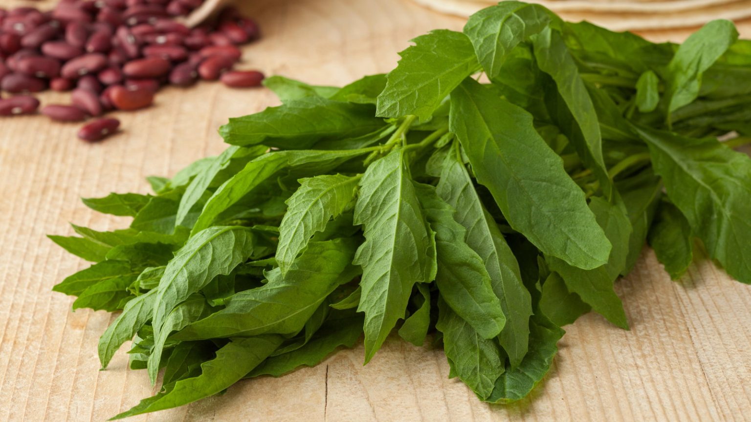 Comment cultiver l’épazote – pour une herbe luxuriante et unique avec un goût puissant utilisé dans la cuisine mexicaine A bunch of fresh green epazote leaves on a wooden table