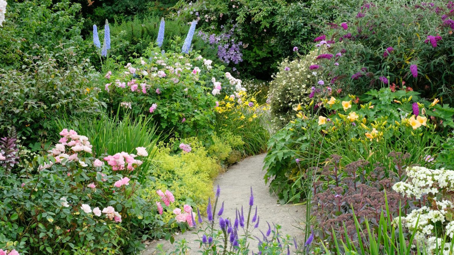 Le jaune beurre est tendance – et ces 7 superbes fleurs de jardin jaune pourraient tout simplement changer d’avis sur cette couleur de division A flower border filled with colorful perennial plants