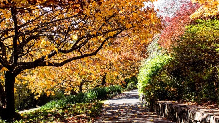Farmers' Almanac