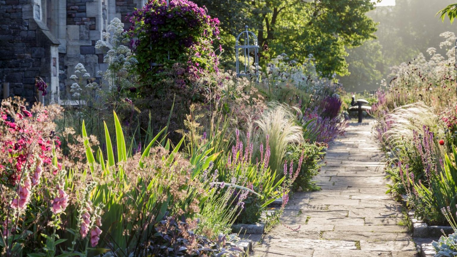 7 plantes à Deadhead en août – pour une seconde rougeur de fleurs au début de l’automne Plants to deadhead in August