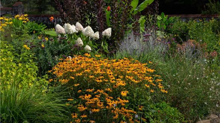 5 façons d’attirer la faune dans votre cour à l’automne – ils sont tous faciles (et même gratuits) à faire How to attract wildlife to your yard in fall