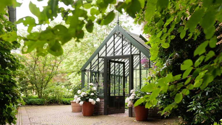 Cet ingrédient naturel, bon marché et puissant est le meilleur ami d’un jardinier – comment utiliser du vinaigre de cidre de pomme dans le jardin pour récolter des résultats étonnants Greenhouse with modern black frame in a garden
