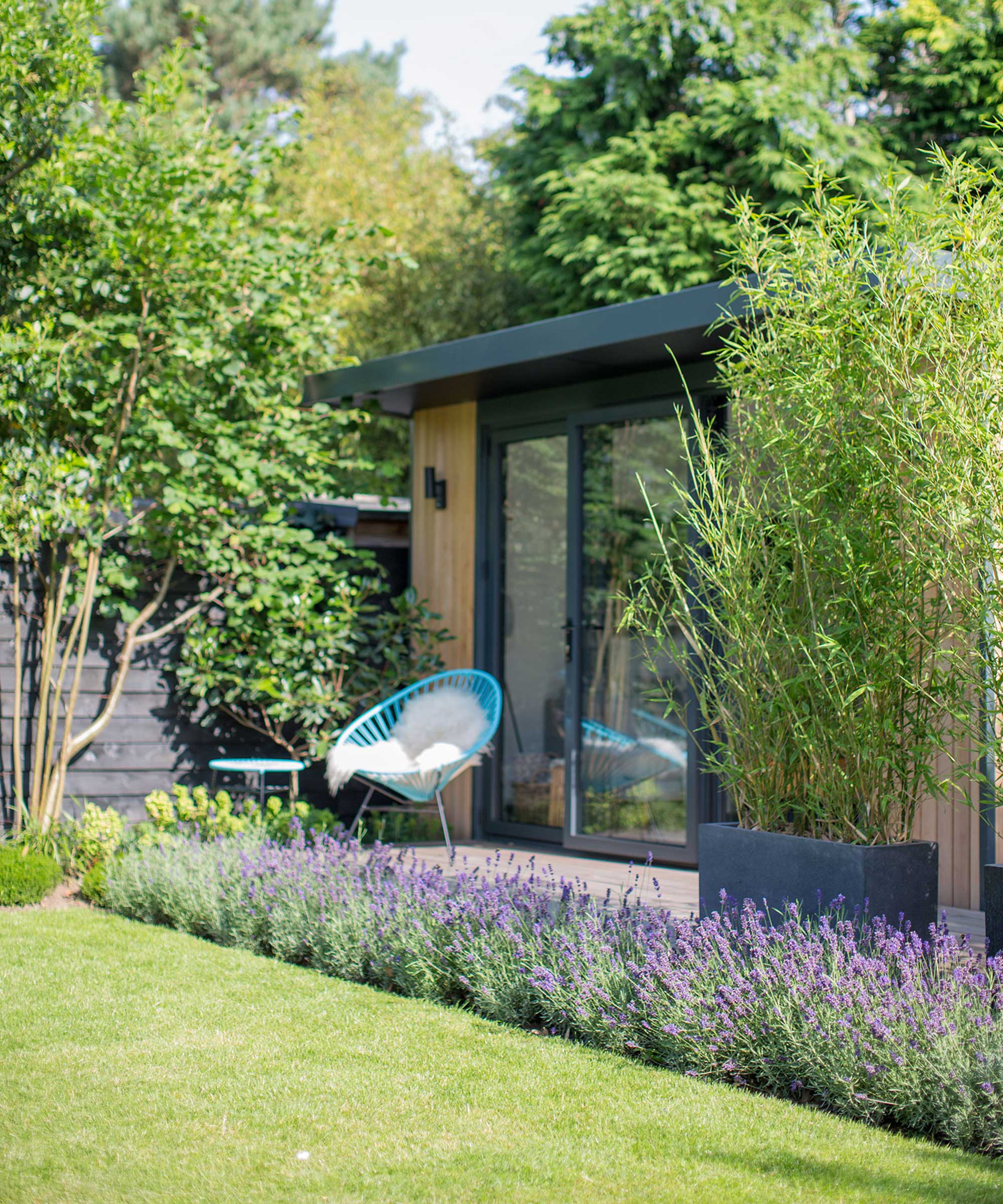 Jardin avec du bambou en pots