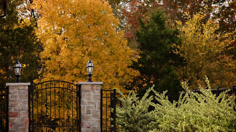 Fall driveway shrubs