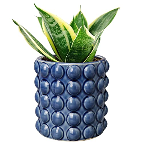 Dilatata 6 pouces Plavier en céramique pour plantes intérieures avec trou de drainage bulle floraison hobnail plante pot jardin jardinière bleu ustensile de plante succulente ustensile