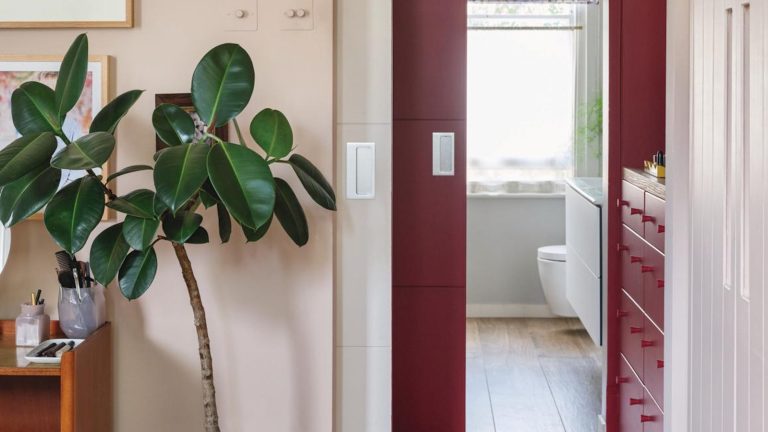 Plant de caoutchouc à nu? Les experts de la plante d’intérieur ne jurent pas par cette technique simple pour le rendre plus buste Rubber plant in bedroom, leading to a bathroom