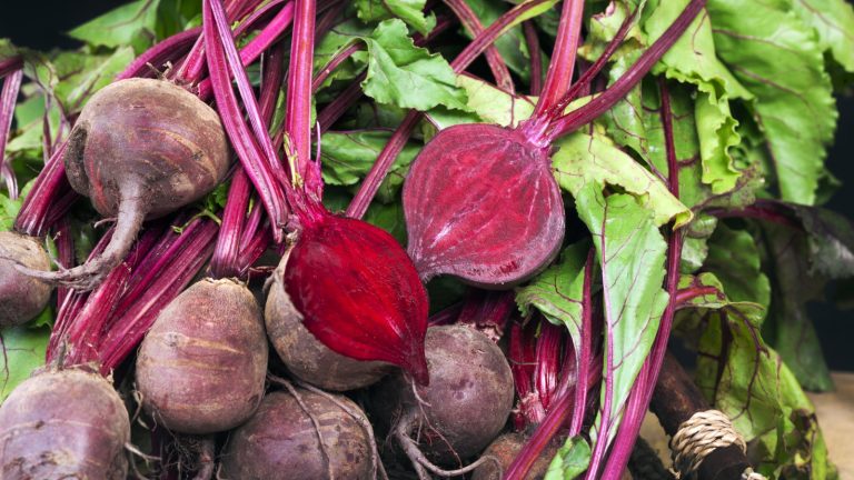 Comment faire grandir des betteraves plus grandes – 5 choses que vous devez faire pour éviter la déception Whole and chopped harvested beets