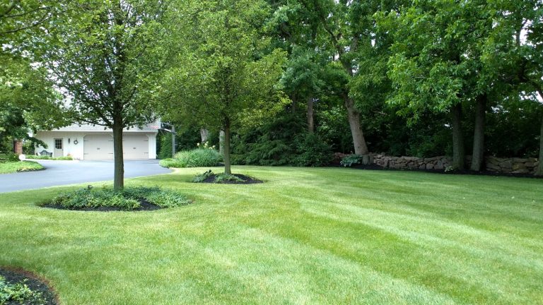 6 signes vous avez une pelouse malsaine – et comment résoudre les problèmes comme un pro A freshly-mown lawn in front of a property with a stone wall