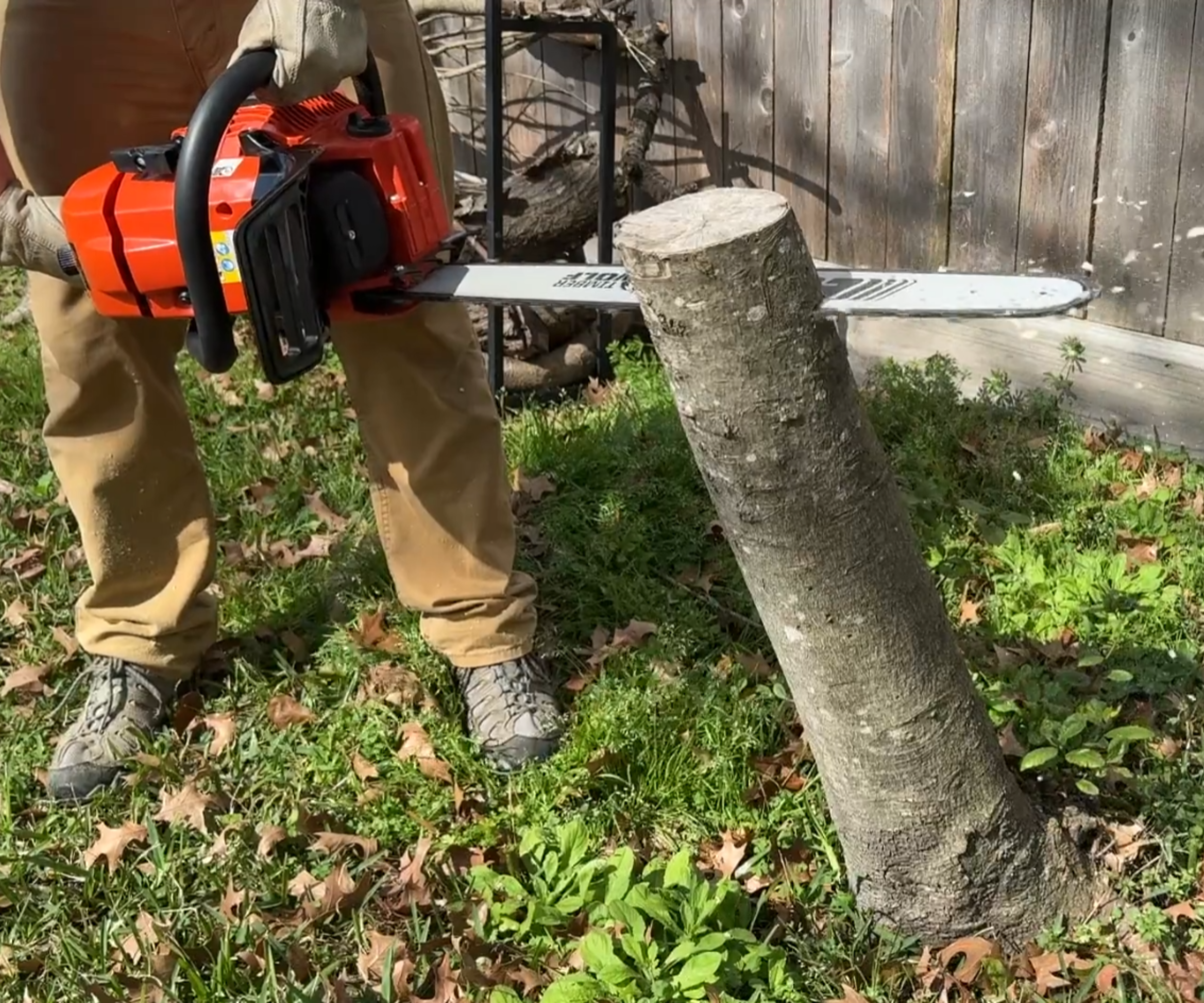 Gros plan de l'écho CS-590 utilisé pour couper une souche \