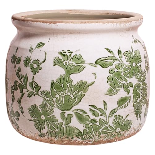 Amazon.com: Pots en céramique Xiaan Jiaju pour plantes, pots de plante avec trou de drainage, 6,29 pouces. Vase en céramique de pots de fleurs, planteurs vintage & amp; amp; amp; Pots succulents, vase de jardinière de finition de glaçure de crépitement, vert classique: patio, pelouse & amp; amp; Jardin